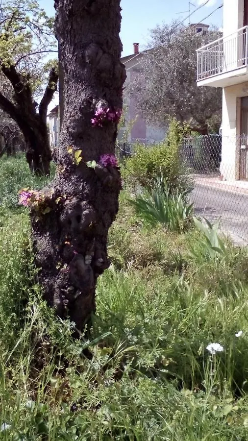 Bed and Breakfast BEDandBIKING Cortona Italien